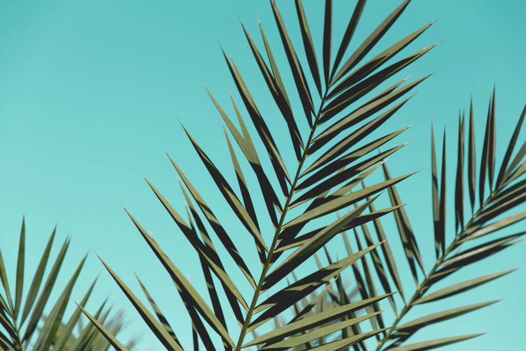 The current image has no alternative text. The file name is: pexels-ifreestock-572487-scaled.jpg